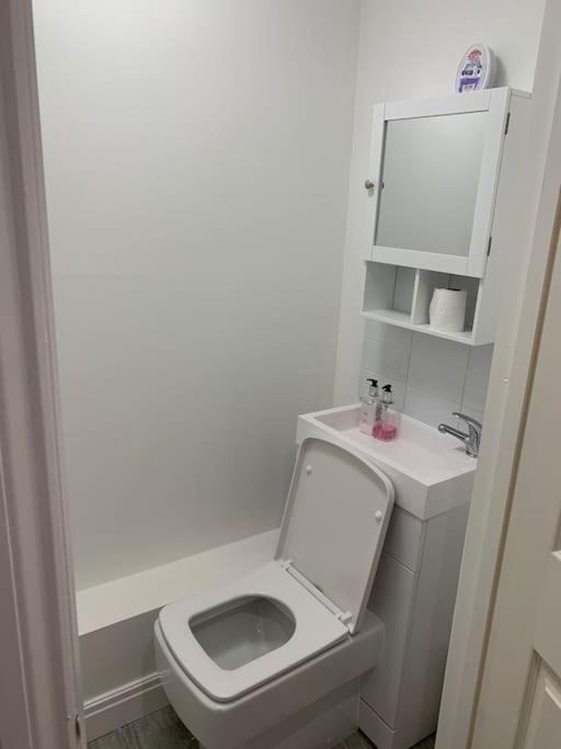 Beautiful 5Bedroom Hse-Contractor/Family/Corporate Dartford Zewnętrze zdjęcie